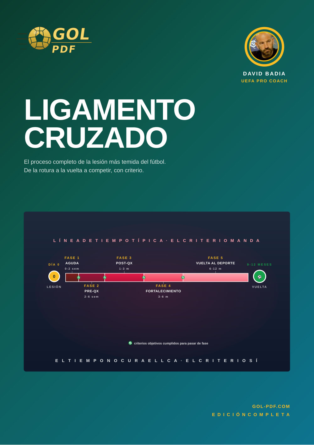 Ligamento cruzado anterior (LCA)